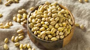 Mayocoba Beans- 16 oz