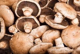 Mushroom-1 box