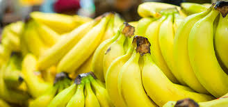 Bananas-Bunch of 6