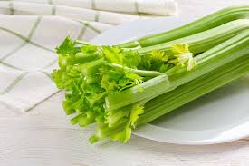 Celery-1 Stalk