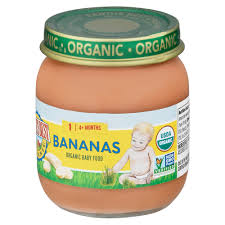 Earth's Best Bananas- 4 oz