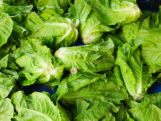 lettuce- 1 stalk