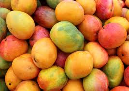 Mango-1