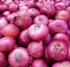 Onion-1 bag