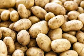 Potato- 1 bag