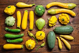 Squash-1 bag